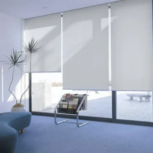 Cortinas Roller Precios